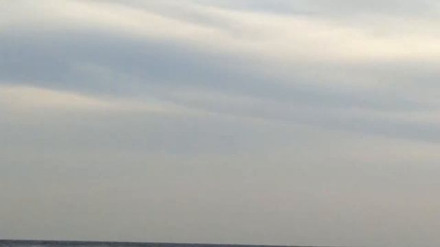 Дельфины в черном море. Мой первый опыт смотреть онлайн