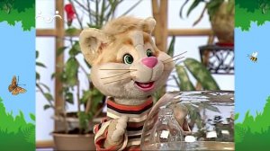 Утро в Шишкином Лесу. Зимний сад. Сад для рыбки