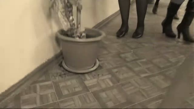 Подарок выпускникам от родителей смотреть онлайн