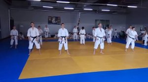 Ката Джион