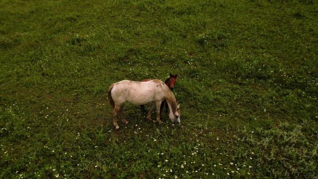 Moldova - North смотреть онлайн