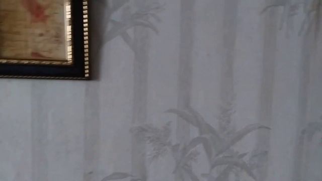 Стена Почёта Джека - Потрошителя У Меня Дома смотреть онлайн