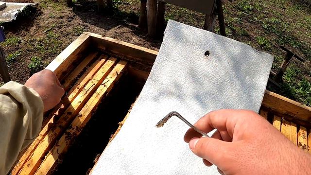 1 Мая,ревизия пчелиных семей смотреть онлайн