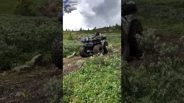 СОКОЛ ПРО ГОРЫ смотреть онлайн