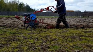 Плуг от мотоблока МТЗ и мотоблок Салют 100.