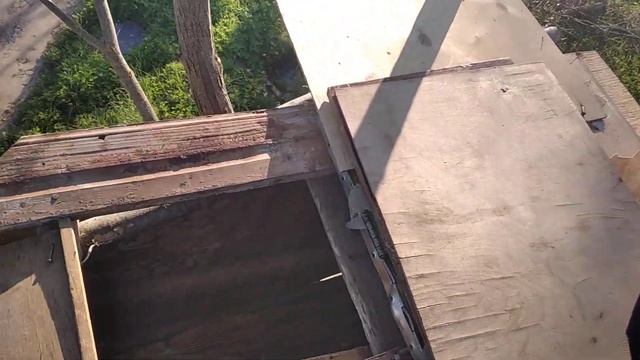 обзор базы и автомата из дерева смотреть онлайн