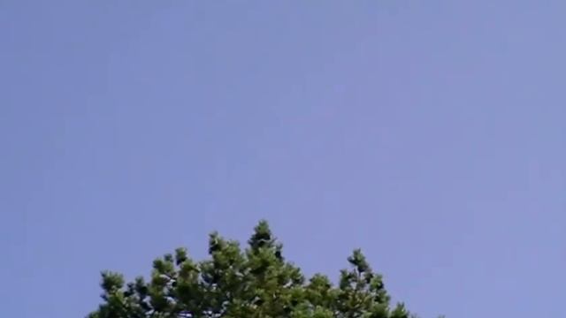 Jonasson/Schleicher/Tunvall - I blåsten смотреть онлайн