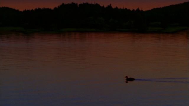 Lyrick Studios (1998-2001) w/ Purple Warning Screens & "Distributed by" Variant #1 [Remastered] смотреть онлайн