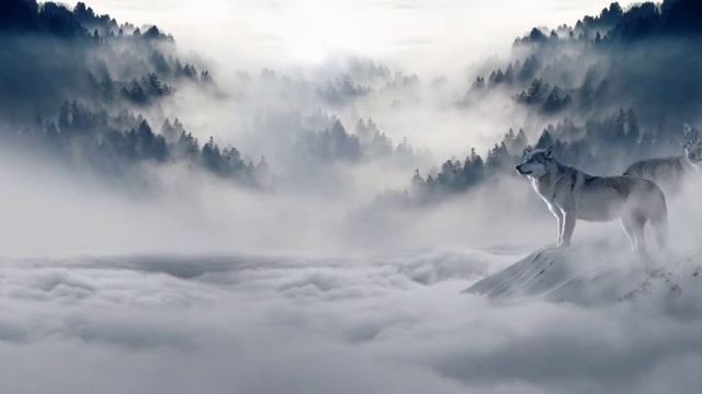 ➤ Мысли засыпают. ✓Медитация на сон. ✈Мощное погружение #музыка #медитация #сон #медитацияпередсном