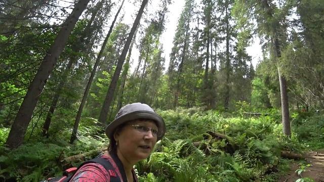 Усьвинские Столбы. Пермский край. 3 августа 2020 г. смотреть онлайн