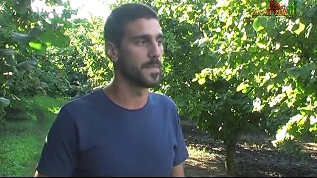 Plantaza lesnika porodice Djapa iz Kikinde смотреть онлайн