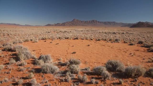 10 Surprising Things You Will See For The First Time смотреть онлайн