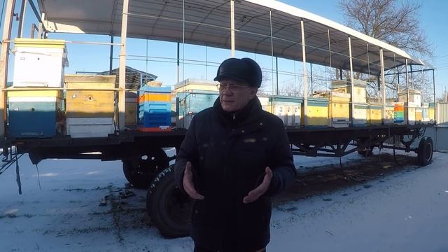 Зимовка пчел на улице Корма в зиму, вентиляция улья зимой смотреть онлайн