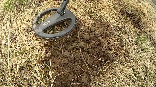 Поиск монет с теркой 705 и 505 ,часть вторая. Поле чудес!!!