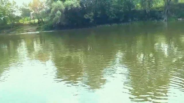 Щука на Северском Донце. Стародубовка. 21.07.2023 рыбалка