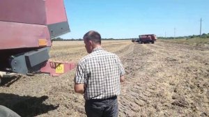 настройка основных регулировок комбайн полесье gs12 озимая пшеница.mp4