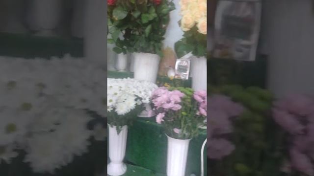 флористика техника работ смотреть онлайн