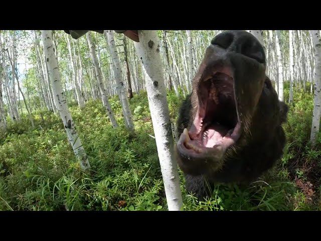 У Дуси мамин характер. смотреть онлайн