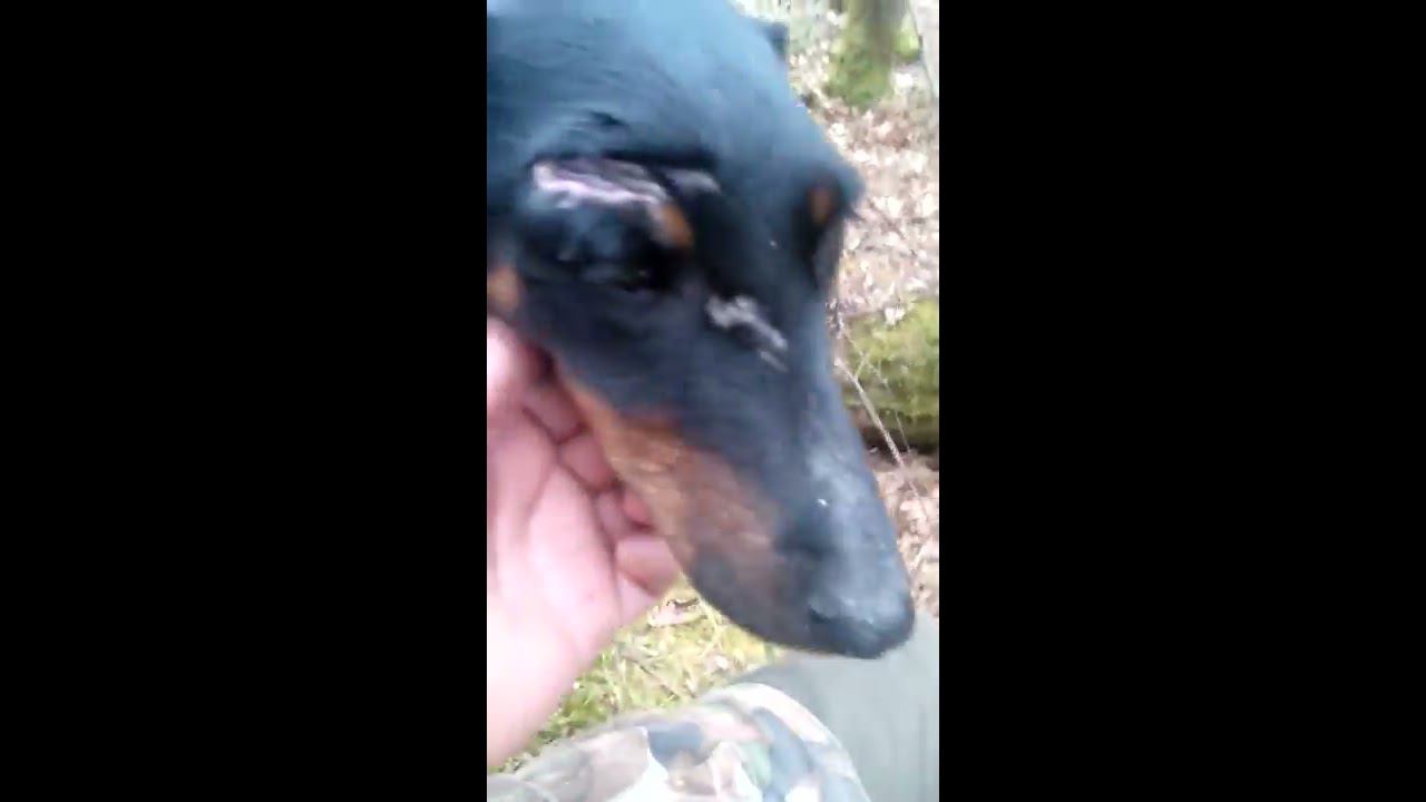 Охота пуще неволи смотреть онлайн