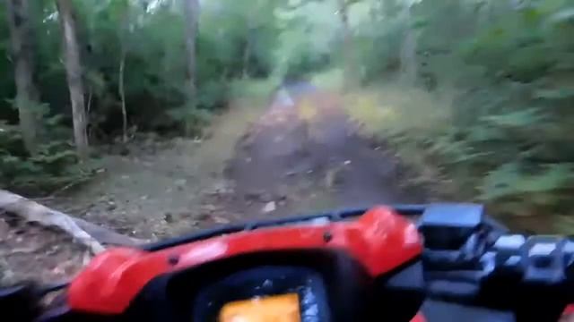 2020 Brute Force 750 смотреть онлайн