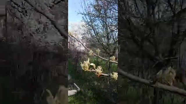 Где и как правильно зарядиться энергией природы. смотреть онлайн