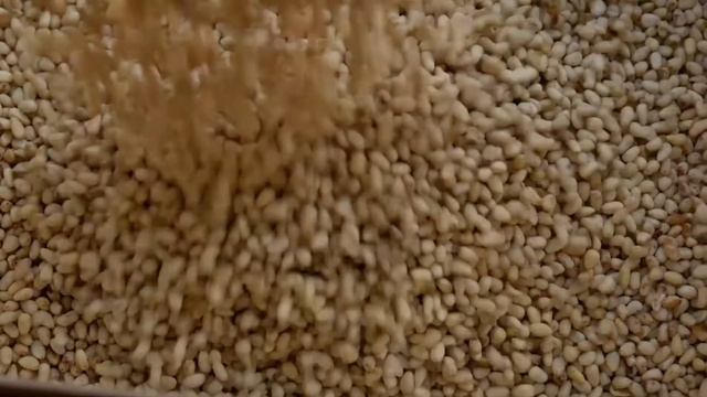 Производство Кедрового масла из родовых поместий Сибири смотреть онлайн