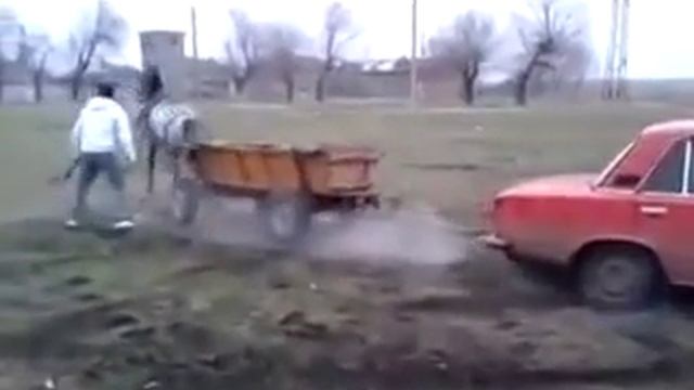 Самая сильная лошадь в мире!!! смотреть онлайн