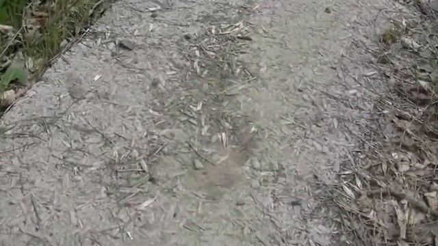 Фибролитовая плита СЦП Волгодонского комбината несколько лет без защиты на поверхности земли. смотреть онлайн