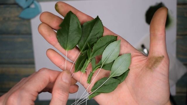 Промо ролик к мастер-классу "Кустовая роза Свит Сара" смотреть онлайн