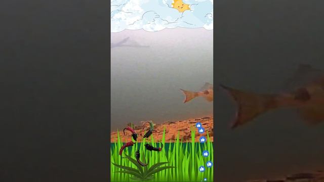 Окуня Отжигают на Мормышку ???#блесна #рыбалка #рыба #щука #окунь #клёв #мормышка #хобби #зимняя смотреть онлайн