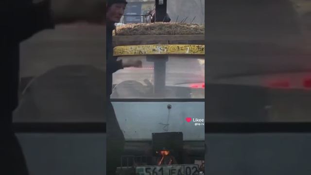 Печку затопил - машина нагрелась, можно ехать#прикол #печка #казахстан #КакТебеТакоеИлонМаск смотреть онлайн