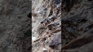 добыча драгоценных камней