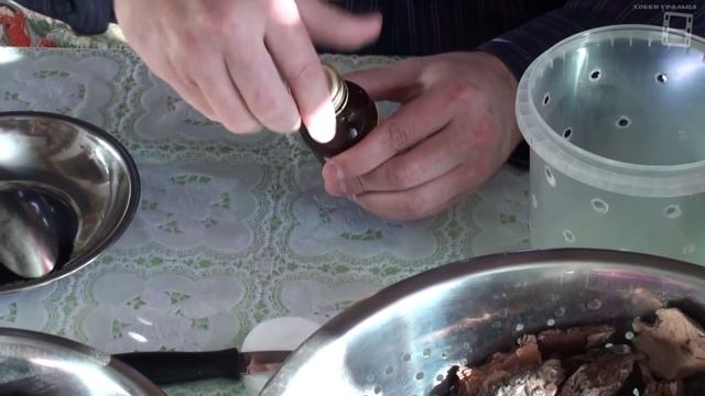 Размножение орхидей фаленопсис. Способ №2. Отделяем верхушечную часть. Орхидеи видео #Орхидеи смотреть онлайн