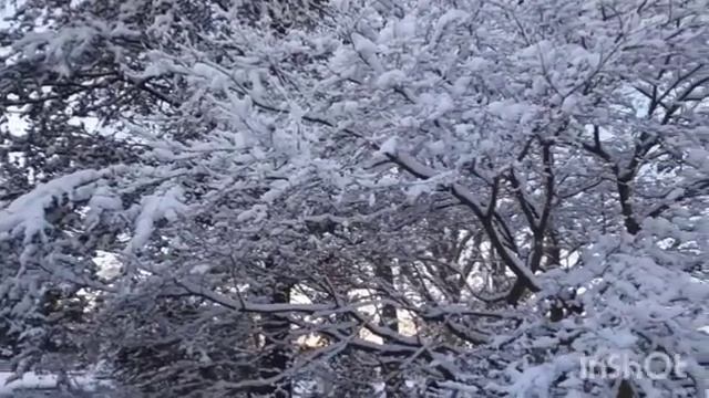 Донья КаБэ хочет Милу для себя. Флорида Ялта вступилась за Нову. Ждет донат. Новый круиз. смотреть онлайн