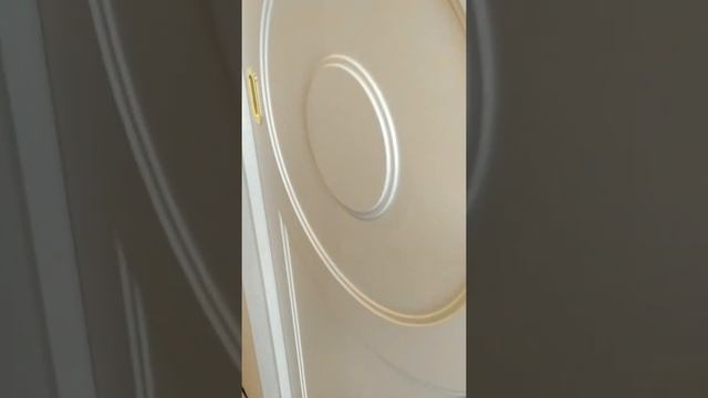 Встроенный шкаф-купе из МДФ в прихожую смотреть онлайн
