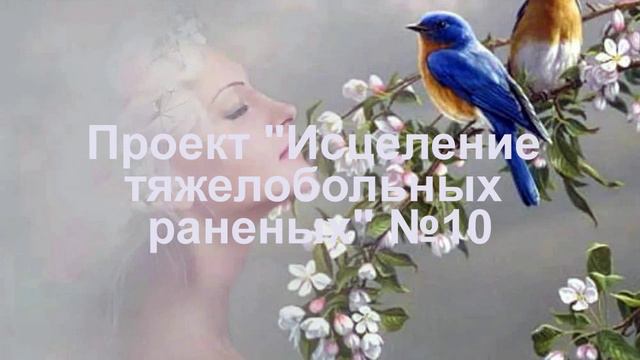 Проект Исцеление тяжелобольных и раненых №10avi
