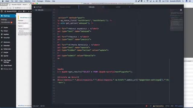 WordPress Eklenti Yazımı #6 смотреть онлайн
