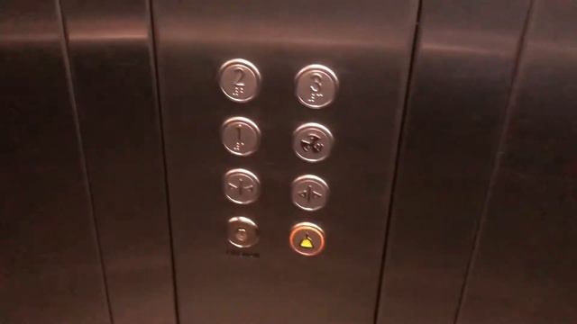 Видеообзор лифта и платформы на станции метро «Технопарк» // 5 сентября 2021 года