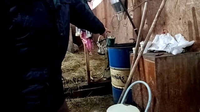 Сколько воды пьют коровы. смотреть онлайн