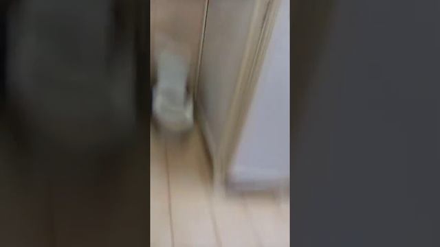 Школьные туалеты России смотреть онлайн