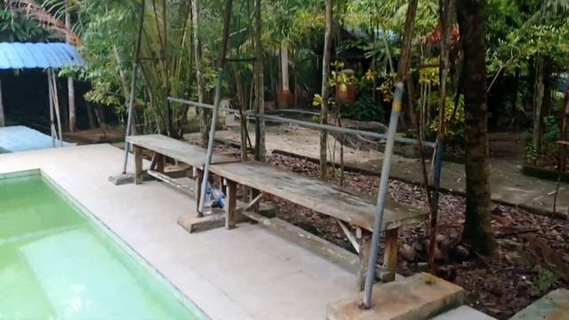 Таиланд Краби, горячие источники смотреть онлайн