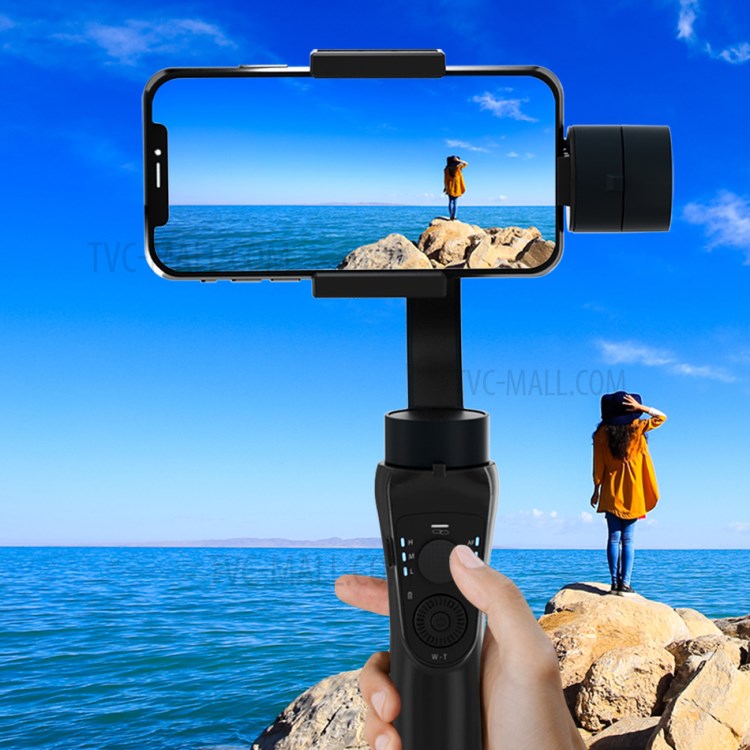 S5B Gimbal СТЕДИКАМ покупка и проверка