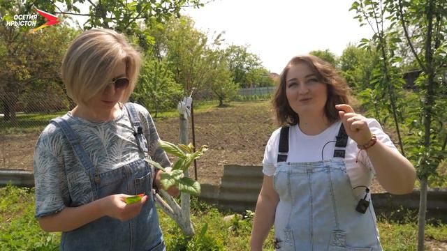 Альбина Габуева | Все в сад! смотреть онлайн