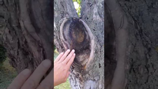 Женские хобби и увлечения