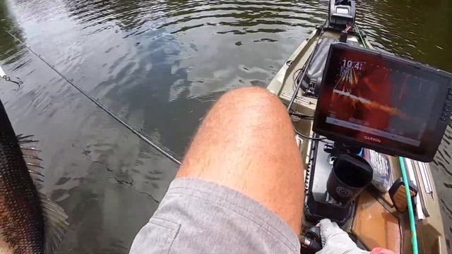 6th Sense 9 inch Draw Bite and a ton of fry guarders! смотреть онлайн