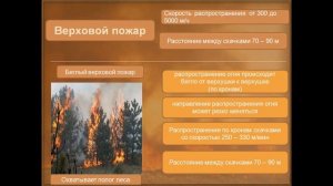 Видеоурок "Лесные пожары. Противопожарная безопасность"