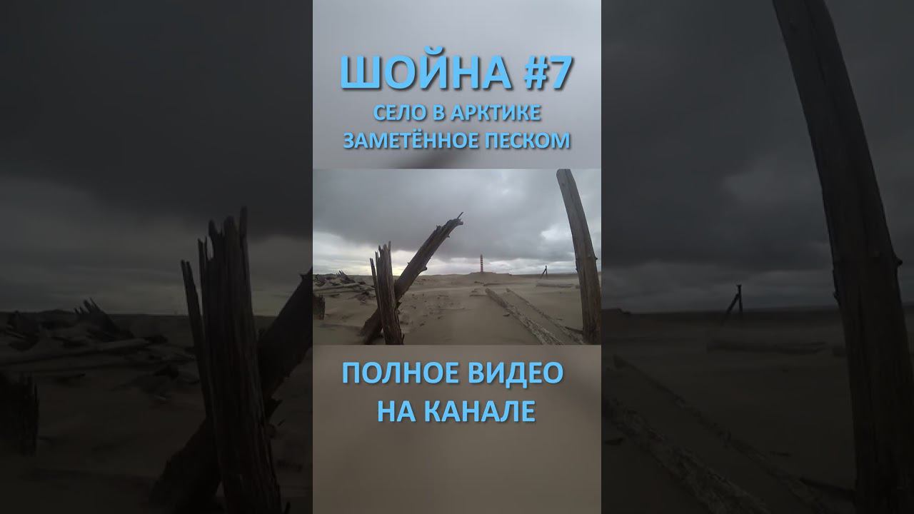ШОЙНА SHOYNA 7 SHORTS #SHORTS смотреть онлайн