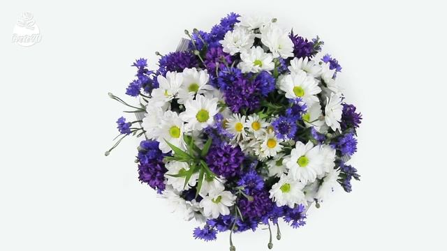 Лятна магия смотреть онлайн