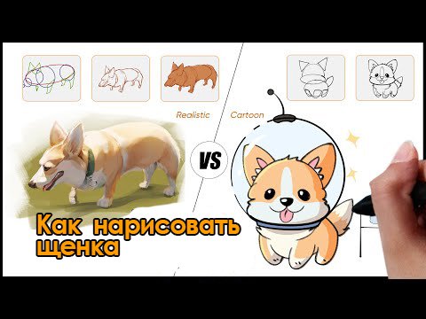 Рисуем щенка с помощью графического планшета XPPen смотреть онлайн