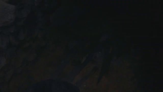 Resident Evil 4: Remake - встреча с Луисом смотреть онлайн